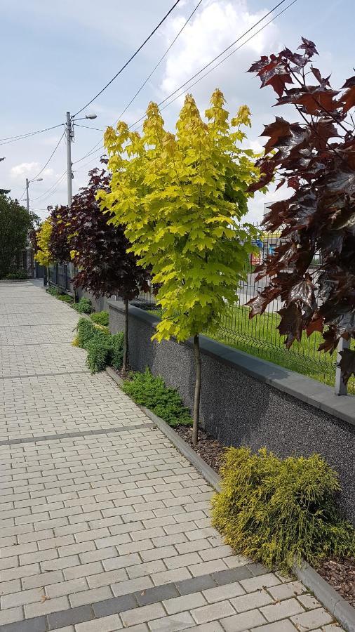 Apartament Angelo ซอสนอวีแยตส์ ภายนอก รูปภาพ